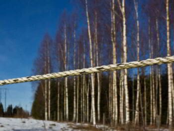 ¿En qué consisten los principios de equidad horizontal y vertical?