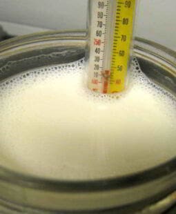 Ejemplo de formulación de proyectos: desarrollo de un nuevo producto lácteo