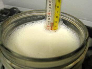 Ejemplo de formulación de proyectos: desarrollo de un nuevo producto lácteo