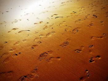 Pasos para la comercialización internacional