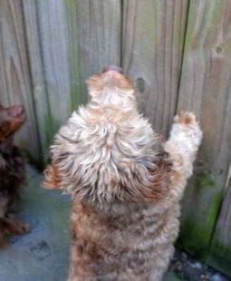 El jefe eres tú. La actitud emprendedora