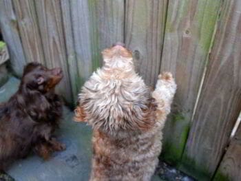 El jefe eres tú. La actitud emprendedora