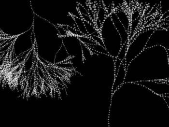 ¿Qué es gestión del conocimiento?