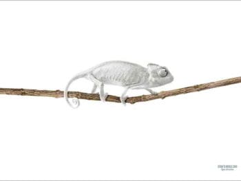 ¿Qué es una estrategia creativa? ¿Qué es una estrategia creativa?