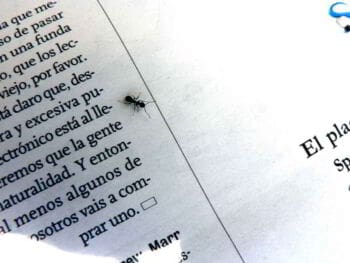 La comunicación corporativa