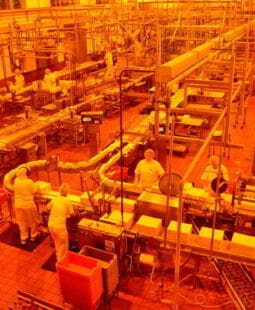 ¿En qué consiste la división del trabajo propuesta por Adam Smith?