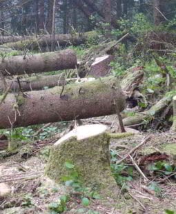 Contabilidad socioeconómica y problemática ambiental