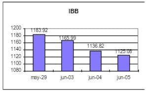 IBB Periodo analizado