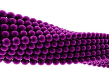 La organización que innova