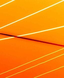 ¿Qué es una función lineal en economía?