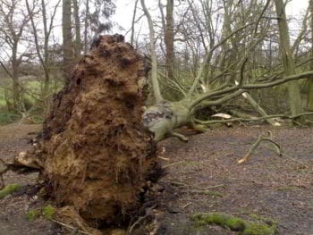 Por qué fracasan los esfuerzos de planificación estratégica Por qué fracasan los esfuerzos de planificación estratégica
