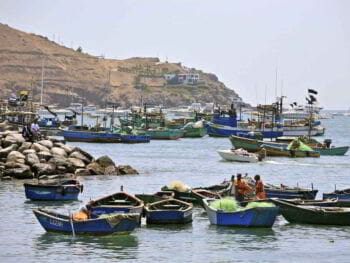 Producto Bruto Interno del Perú. Evaluación y perspectivas, 2001