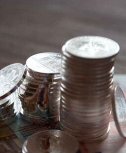 Presupuesto para desembolsos capitalizables y flujos de efectivo