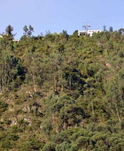 Metodología aplicada al sistema de cuentas ambientales en Bogotá