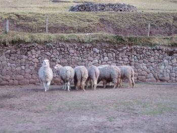 Balanza comercial del Perú 1990 – 1999