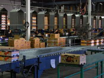 Teoría económica de la producción y los costos