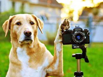 La innovación como concepto estratégico