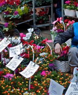 Conceptos de mercadeo