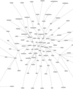 Estrategias de marketing para la empresa