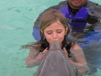 Inteligencia emocional en la gestión educativa