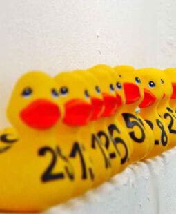 ¿Cómo se clasifican los activos?