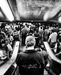 Demografía. Definición, elementos y sus tipos