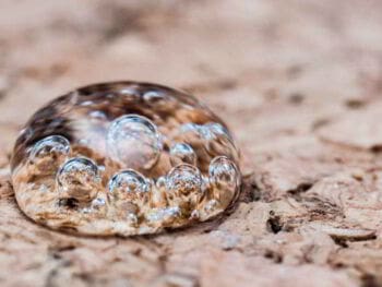 Diferenciación e introducción a la complejidad organizativa