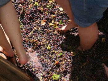 Mejora e innovación de procesos Mejora e innovación de procesos