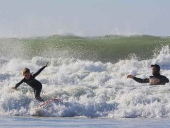 Formación profesional para el cambio organizacional