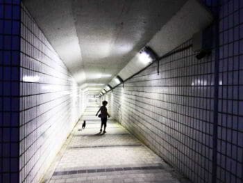 El síndrome de cronos. Temor a ser desplazado en la empresa El síndrome de cronos. Temor a ser desplazado en la empresa