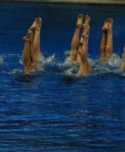 La sincronicidad en el servicio al cliente