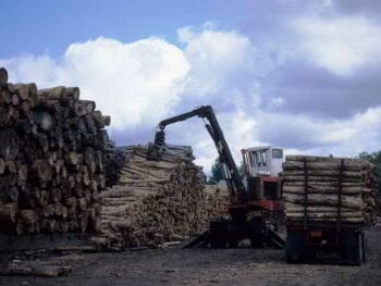 Mercadeo agropecuario para la exportación de productos agropecuarios y forestales