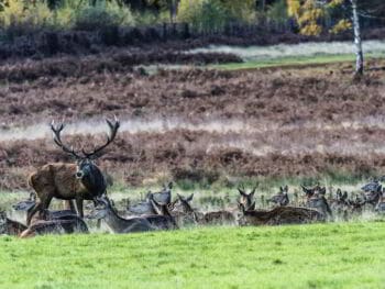 Liderazgo, poder y autoridad. Diferencias y semejanzas