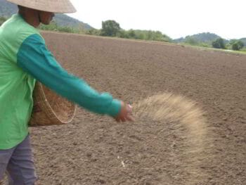 ¿Qué le aportó Quesnay a la economía Política?