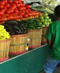 El capital mercado y la gestión del conocimiento
