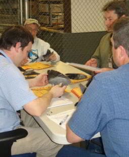 Análisis funcional de competencias laborales