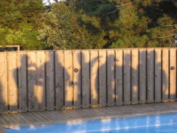 Factor humano en la organización Factor humano en la organización