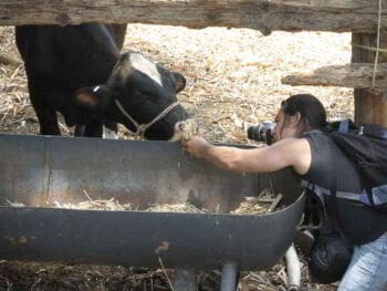 Cómo lograr el interés en tu propuesta de ventas