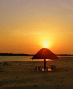 Trabajar por la mejor vida posible