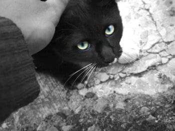 La comunicación consciente