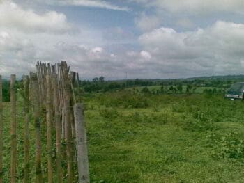 Enajenación de activos en México Enajenación de activos en México