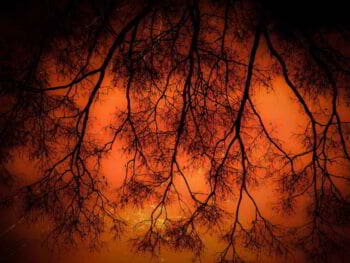 Producción del conocimiento Producción del conocimiento