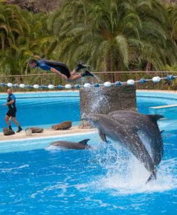 Programación neurolingüística y habilidades de venta