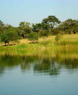 Métodos de valoración monetaria del medio ambiente