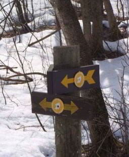 Principios de éxito de sistemas de soporte a la decisión