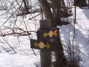 Principios de éxito de sistemas de soporte a la decisión Principios de éxito de sistemas de soporte a la decisión