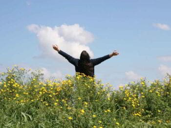 El éxito en la vida