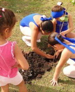 Manual para proyectos de cooperación enfocados a medio ambiente
