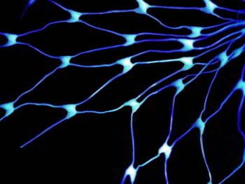 Administración del conocimiento, ventaja competitiva en las organizaciones