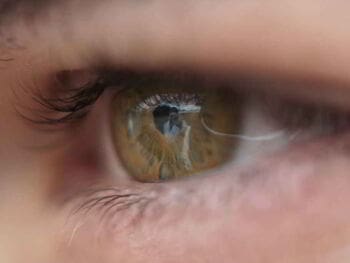 Consultoría en coaching ontológico para el liderazgo organizacional